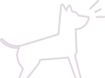 شکل