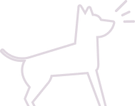 شکل
